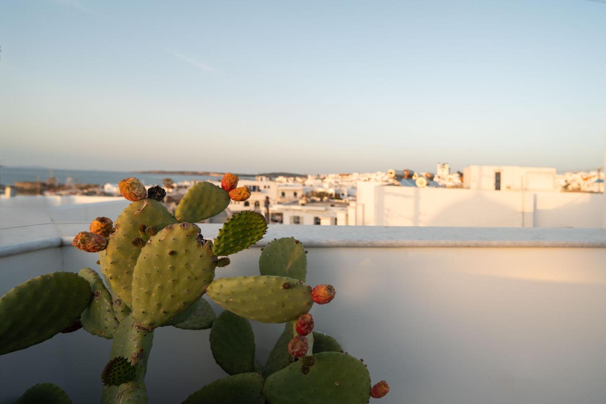 Nevma Naousa Boutique Apartment Exterior foto